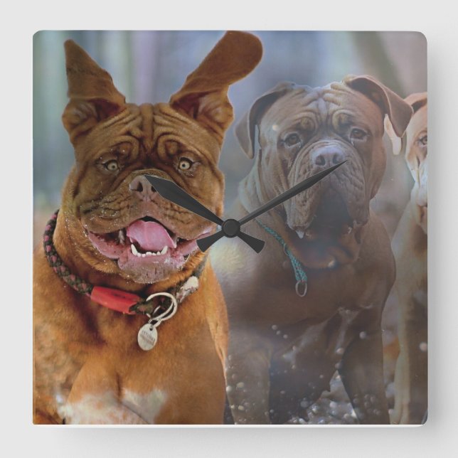 Mastiff Plus Fyrkantig Klocka (Framsida)