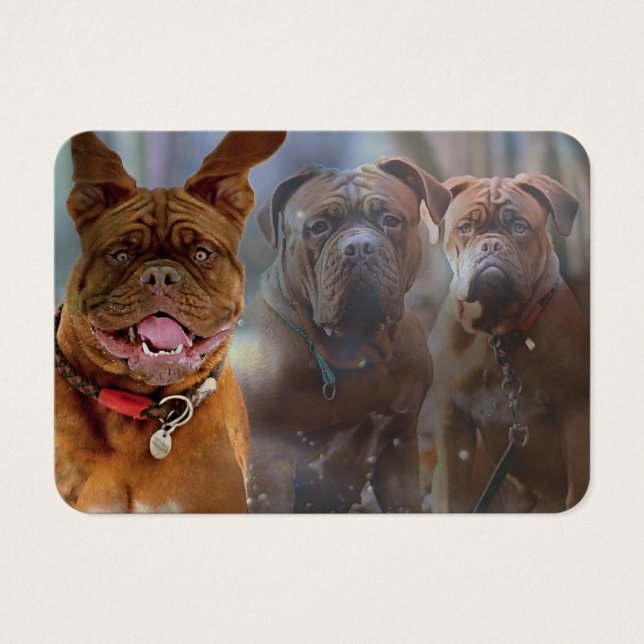 Mastiff Plus-profilkort Visitkort (Framsidan)