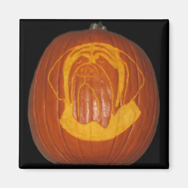 Mastiff Pumpkin Magnet (Framsidan)