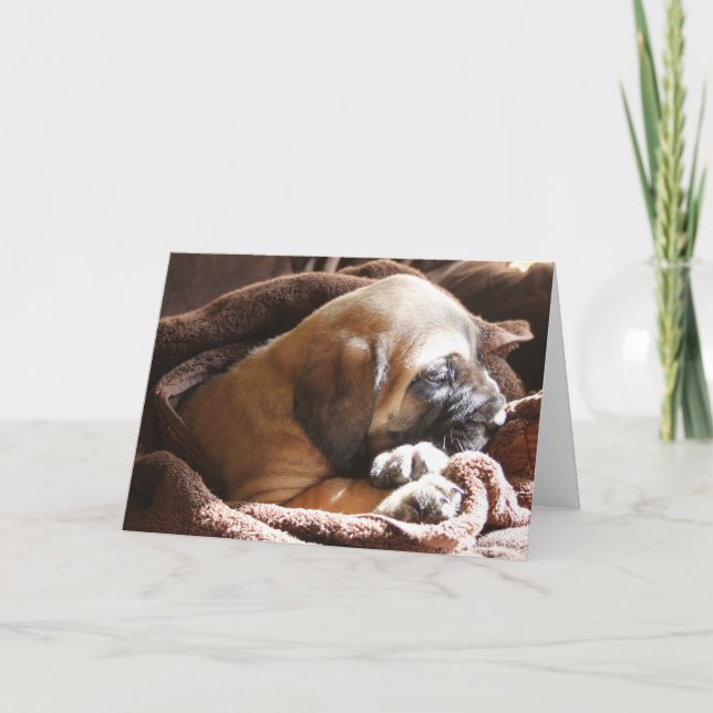 Mastiff Puppy Miss You-kort Kort (Framsida)