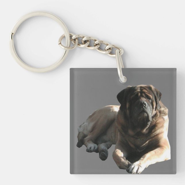 Mastiff Sanfter Riese (Framsidan)