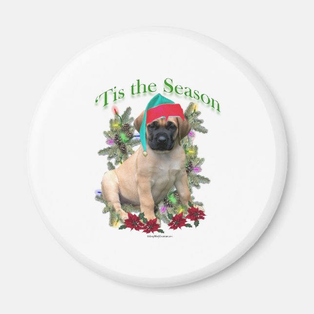 Mastiff "Tis Magnet (Framsidan)
