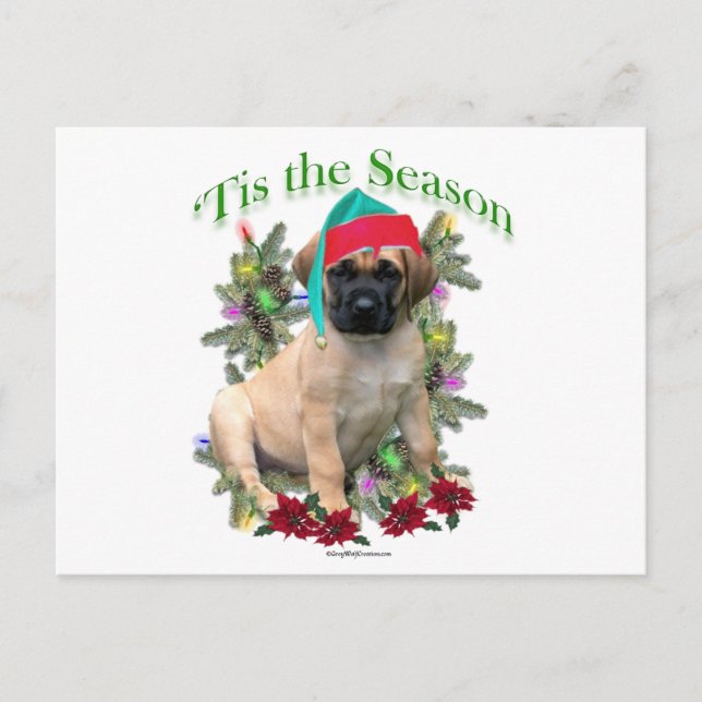 Mastiff "Tis Vykort (Framsida)