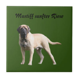 Mastiff  Urlaub English Mastiff Kakelplatta
