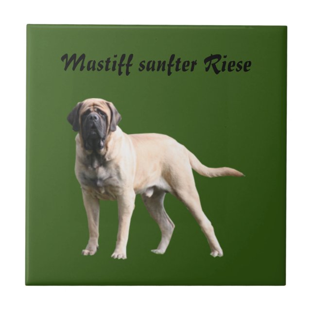 Mastiff  Urlaub English Mastiff Kakelplatta (Framsidan)