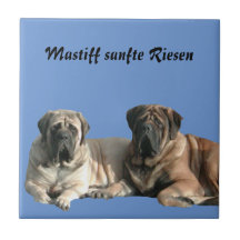Mastiff  Urlaub English Mastiff