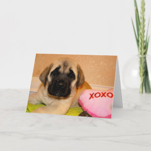 Mastiff-valentinkort Helgkort