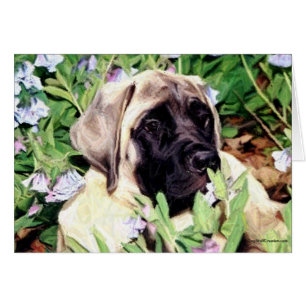 Mastiff-valp i blåklockor hälsningskort