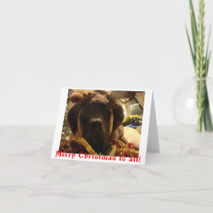 Mastiffjulkort Helgkort