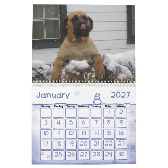 Mastiffkalender Kalender (Jan 2027)