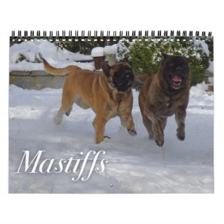 Mastiffs Calendar Kalender