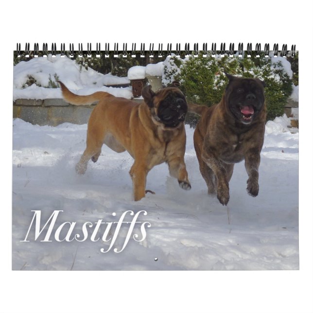 Mastiffs Calendar Kalender (Omslag)