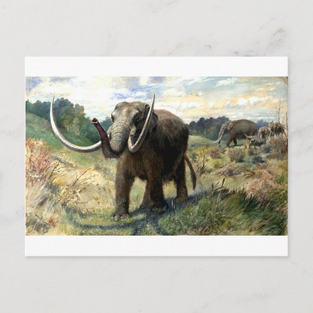 mastodon-1 vykort (Framsida)