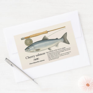 Masu (Oncorhynchus masou) – Rektangulärt Klistermärke