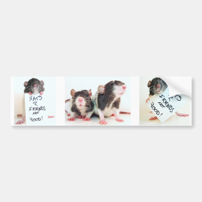 Mat 2 för vänner för råttor R inte Bildekal (Framsidan)