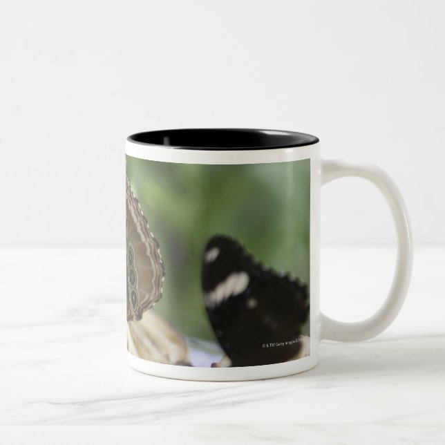 Mat för fjärilar Två-Tonad mugg (Höger)