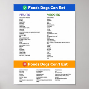 Mat Hundar kan och kan inte äta Poster
