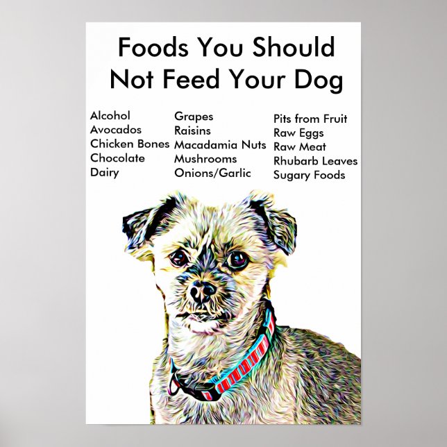 Mat ska du inte Mata Hund Poster (Framsidan)