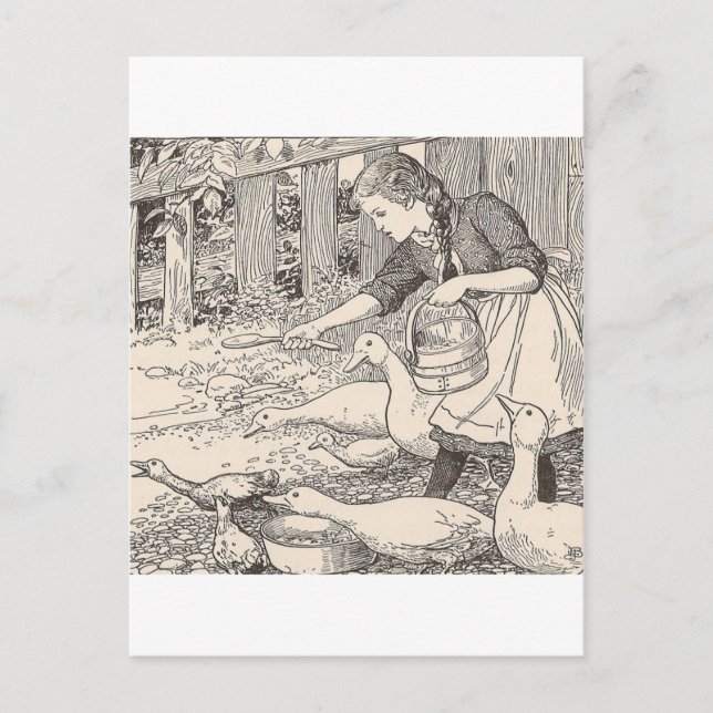 Mata anka vykort (Framsida)