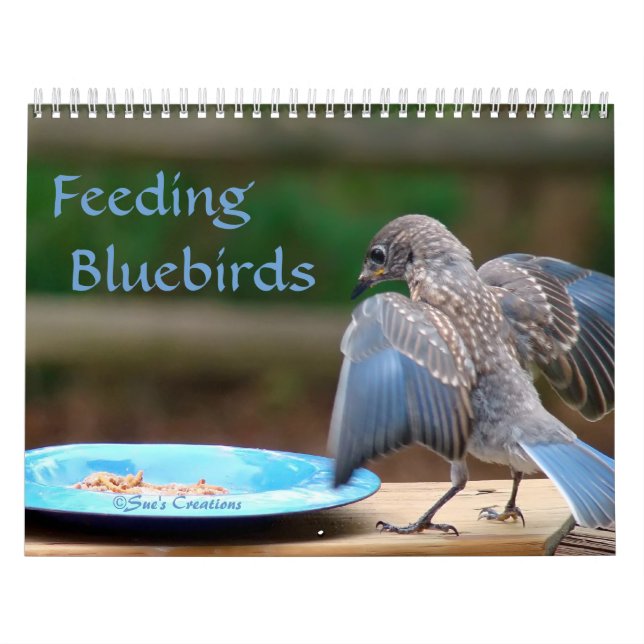 Mata Bluebirds Kalender (Omslag)