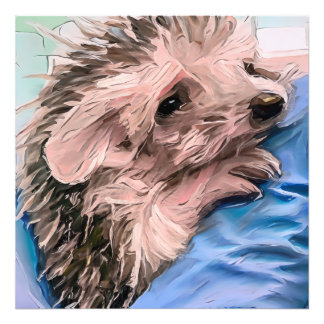 mata en liten och föräldralös baby hedgehog fototryck