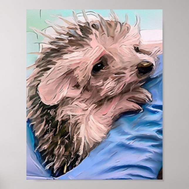 mata en liten och föräldralös baby hedgehog poster (Framsidan)