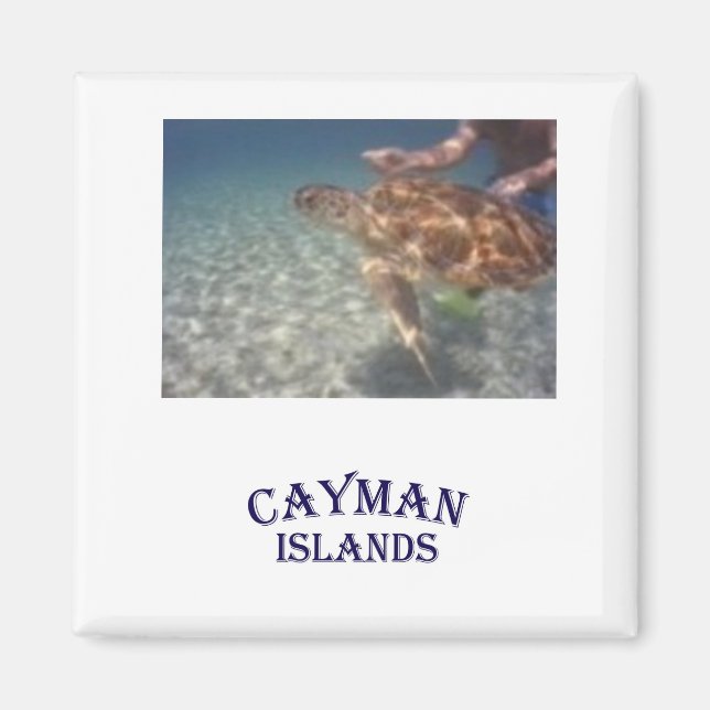 Mata en sköldpadda magnet (Framsidan)