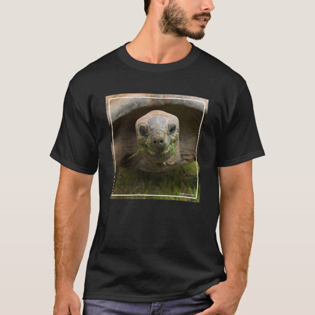Mata för Aldabra sköldpadda T Shirt (Framsida)