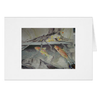 mata för forell OBS kort