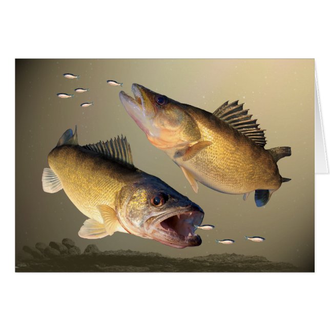 Mata för två Walleye Hälsningskort (Framsidan Horizontal)