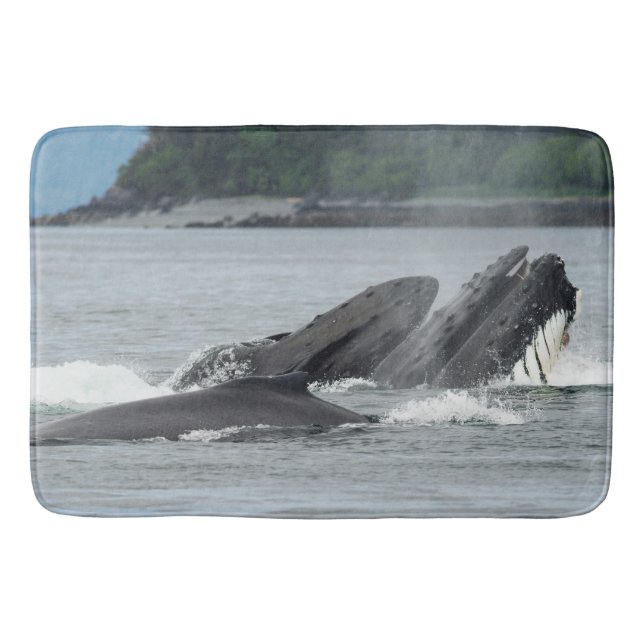 Mata Humpback Whales Badrumsmatta (Framsidan)