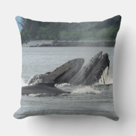 Mata Humpback Whales Kudde