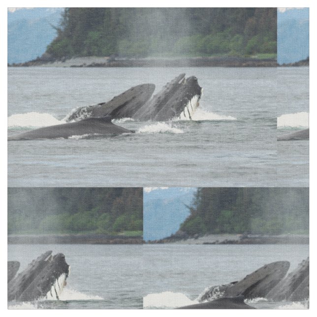 Mata Humpback Whales Tyg (Närbild)