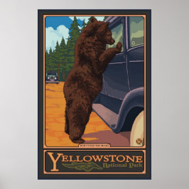 Mata inte björnarna - nationalparken Yellowstone Poster