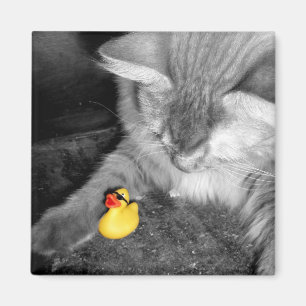 "Mata inte Cat" Rubber Anka Magnet