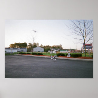 Mata inte fiskmås poster