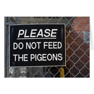 Mata inte Pigeons New York City NYC Hälsningskort