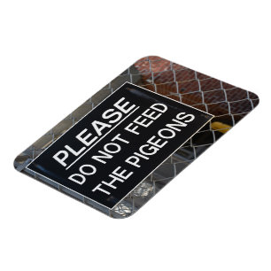 Mata inte Pigeons New York City NYC Magnet