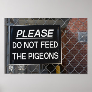Mata inte Pigeons New York City NYC Poster