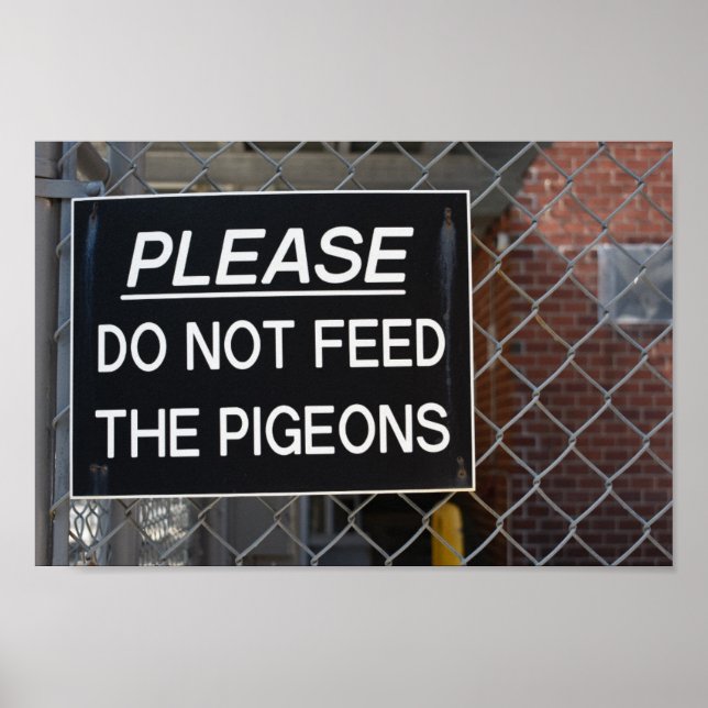 Mata inte Pigeons New York City NYC Poster (Framsidan)