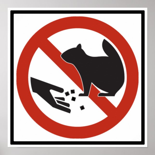 Mata inte skylten för ekorrar poster (Framsidan)