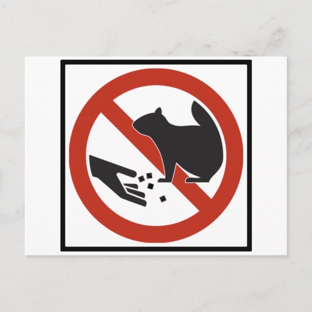 Mata inte skylten för ekorrar vykort (Framsida)