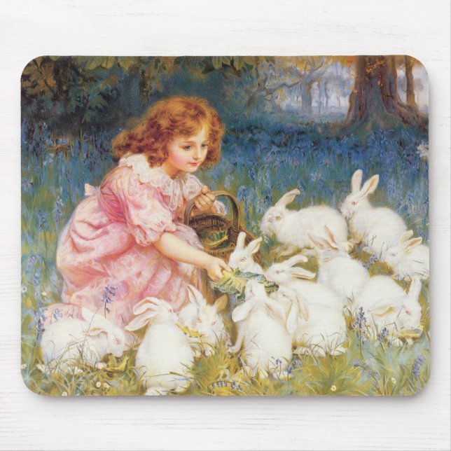 Mata kaninerna musmatta (Framsidan)