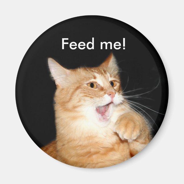 Mata kattmagnet magnet (Framsidan)