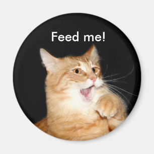 Mata kattmagneten magnet