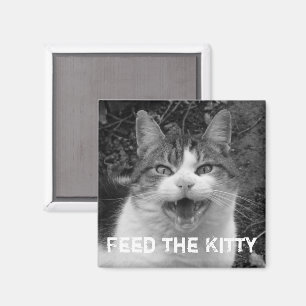 Mata Kattunge Crabby Cat Magnet
