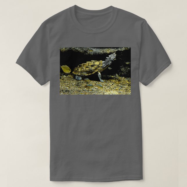 Mata Mata Turtle T Shirt (Design framsida)