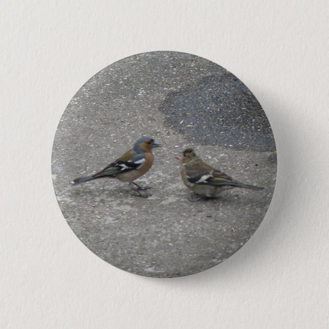 Mata mig Chaffinch-knapp Knapp (Framsida)