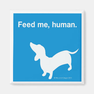 Mata mig Doxie Magnet