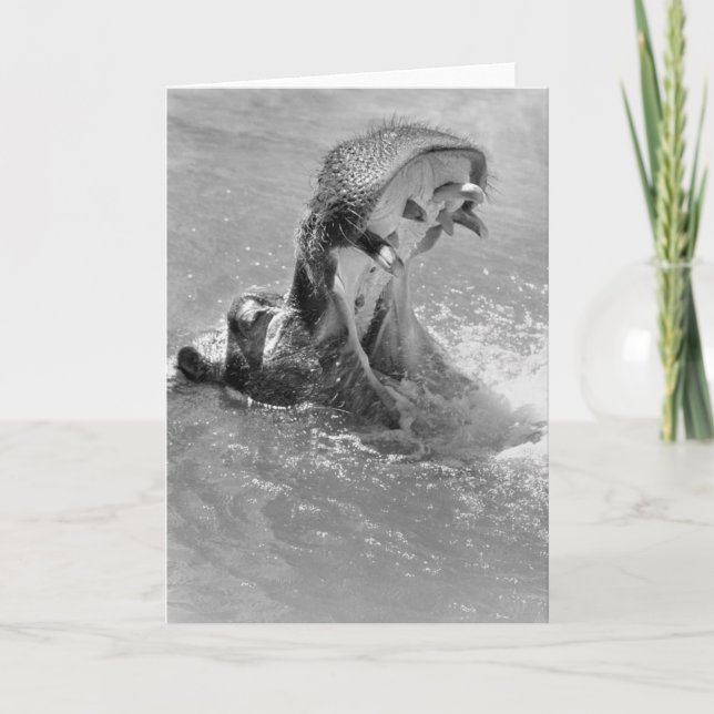 Mata mig Hippo-anteckningskort Kort (Framsida)